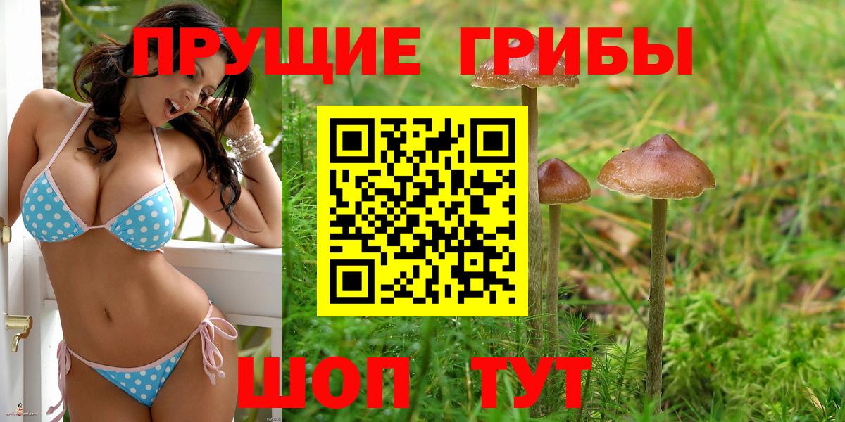 Галлюциногенные грибы мухоморы  Галлюциногенные грибы Psilocybine cubensis  Сочи  Вход с VPN 
